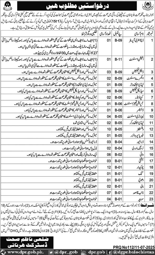 DHQ Hospital, RHC & Civil Dispensery Jobs under DHO Harnai 07/2025