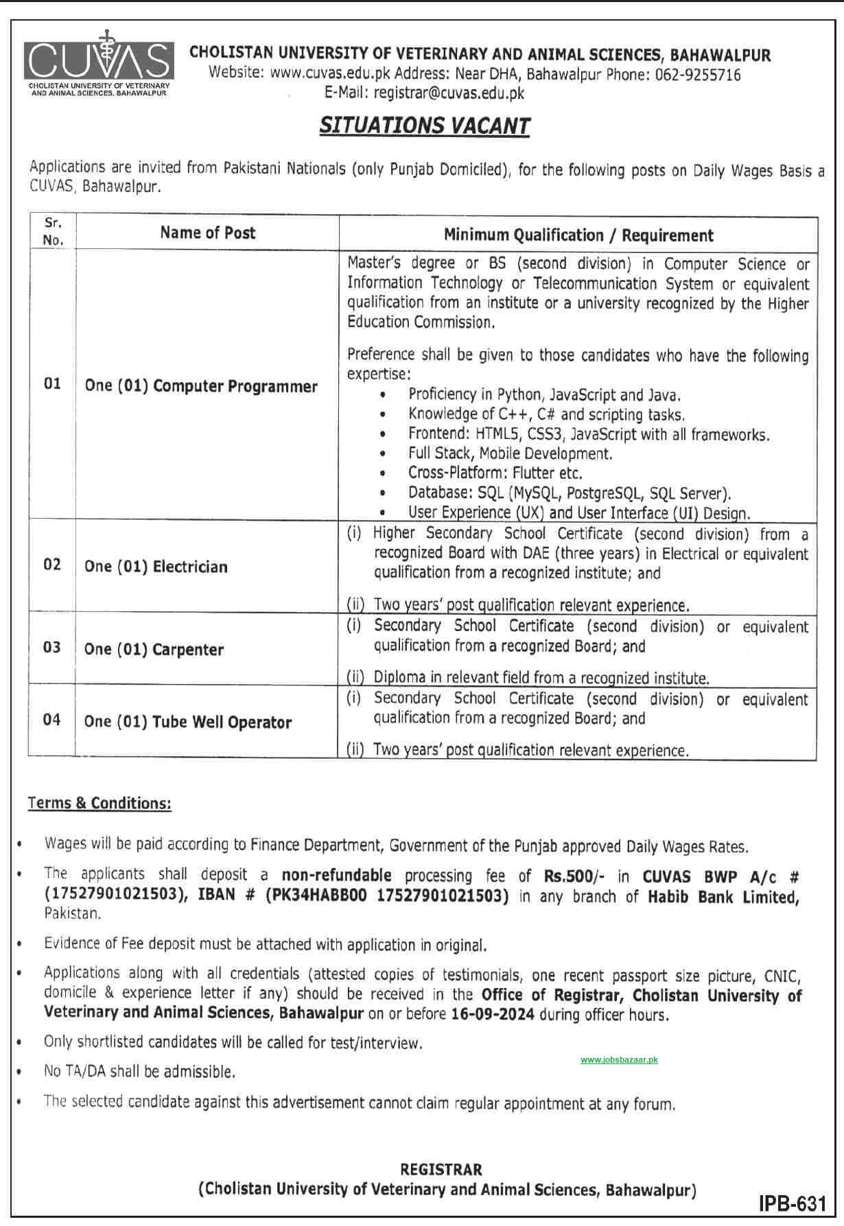 CHOLISTAN UNIVERSITY OF VETERINARY & ANIMAL SCIENCES | CUVAS BAHAWALPUR, DAILY WAGES VACANCIES 08-2024